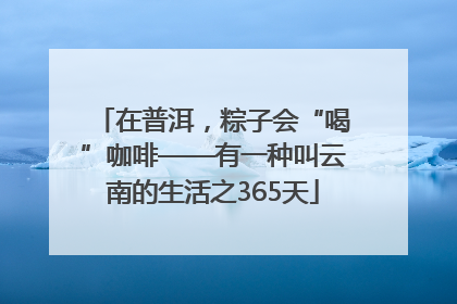 在普洱，粽子会“喝”咖啡——有一种叫云南的生活之365天