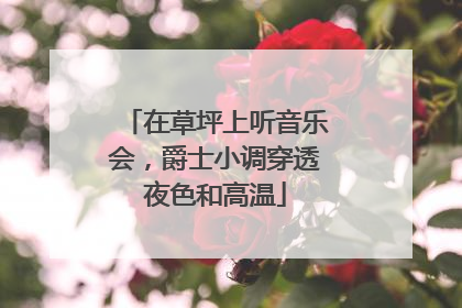 在草坪上听音乐会，爵士小调穿透夜色和高温