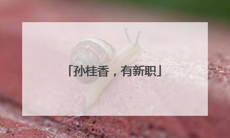 孙桂香，有新职