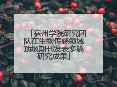 宿州学院研究团队在生物传感领域顶级期刊发表多篇研究成果