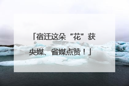 宿迁这朵“花”获央媒、省媒点赞！