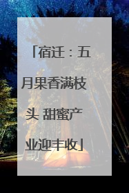 宿迁：五月果香满枝头 甜蜜产业迎丰收