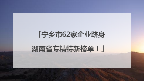 宁乡市62家企业跻身湖南省专精特新榜单！