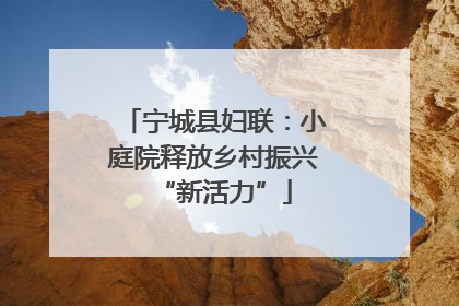 宁城县妇联：小庭院释放乡村振兴“新活力”