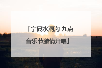 宁夏水洞沟 九点音乐节激情开唱