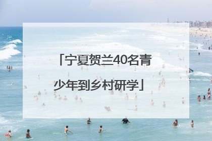 宁夏贺兰40名青少年到乡村研学