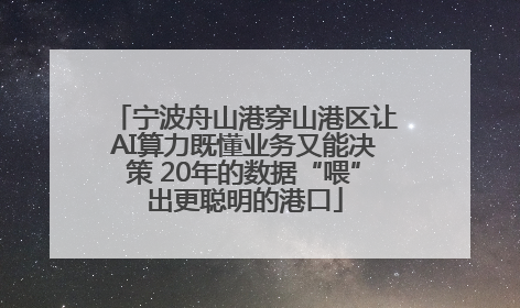 宁波舟山港穿山港区让AI算力既懂业务又能决策 20年的数据“喂”出更聪明的港口