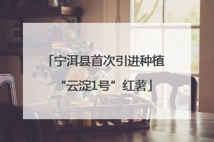 宁洱县首次引进种植“云淀1号”红薯