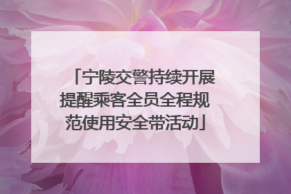 宁陵交警持续开展提醒乘客全员全程规范使用安全带活动