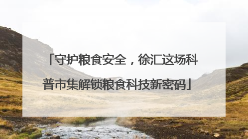 守护粮食安全，徐汇这场科普市集解锁粮食科技新密码