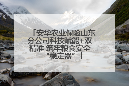 安华农业保险山东分公司科技赋能+双精准 筑牢粮食安全“稳定器”