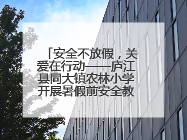 安全不放假，关爱在行动——庐江县同大镇农林小学开展暑假前安全教育大家访