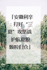 安徽利辛：打好“三夏”攻坚战 护航夏粮颗粒归仓