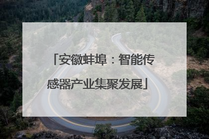 安徽蚌埠：智能传感器产业集聚发展
