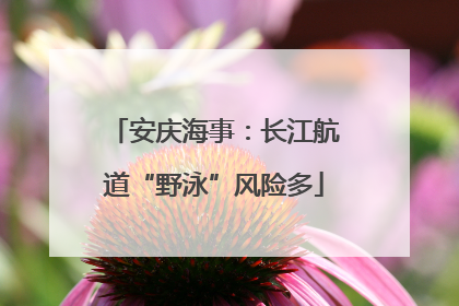 安庆海事：长江航道“野泳”风险多