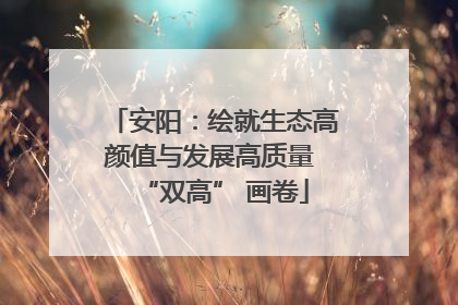安阳：绘就生态高颜值与发展高质量 “双高” 画卷