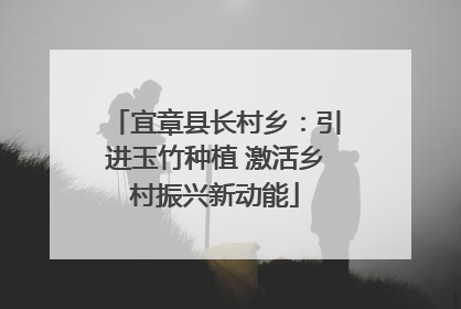 宜章县长村乡：引进玉竹种植 激活乡村振兴新动能
