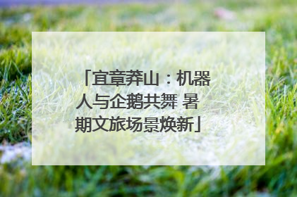 宜章莽山：机器人与企鹅共舞 暑期文旅场景焕新