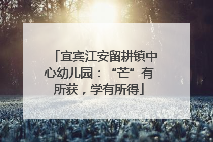 宜宾江安留耕镇中心幼儿园：“芒”有所获，学有所得