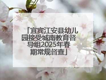 宜宾江安县幼儿园接受城南教育督导组2025年春期常规督查