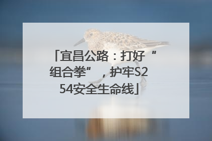宜昌公路：打好“组合拳”，护牢S254安全生命线