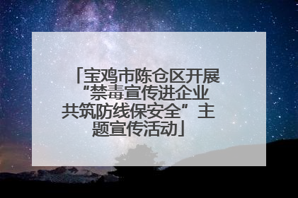 宝鸡市陈仓区开展“禁毒宣传进企业 共筑防线保安全”主题宣传活动