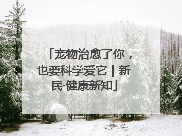 宠物治愈了你，也要科学爱它｜新民·健康新知