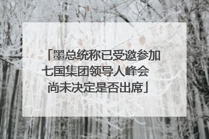 墨总统称已受邀参加七国集团领导人峰会 尚未决定是否出席