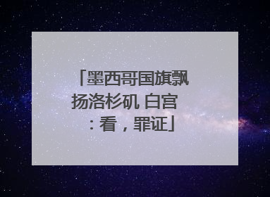 墨西哥国旗飘扬洛杉矶 白宫：看，罪证