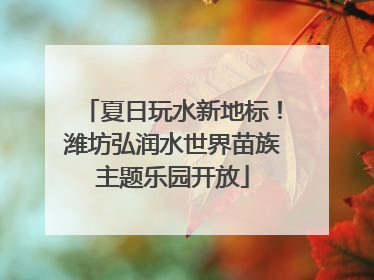 夏日玩水新地标！潍坊弘润水世界苗族主题乐园开放