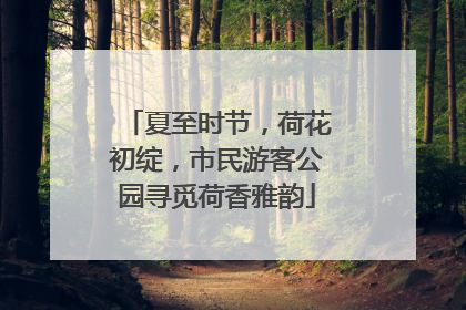 夏至时节，荷花初绽，市民游客公园寻觅荷香雅韵