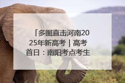 多图直击河南2025年新高考｜高考首日：南阳考点考生信心满满迎战