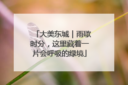 大美东城｜雨歇时分，这里藏着一片会呼吸的绿境