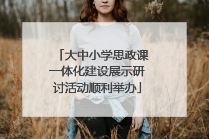 大中小学思政课一体化建设展示研讨活动顺利举办