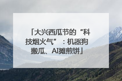 大兴西瓜节的“科技烟火气”：机器狗搬瓜、AI摊煎饼