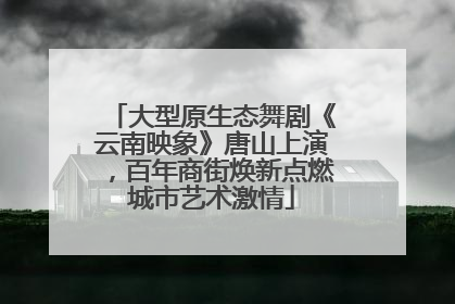 大型原生态舞剧《云南映象》唐山上演，百年商街焕新点燃城市艺术激情