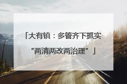 大有镇：多管齐下抓实“两清两改两治理”