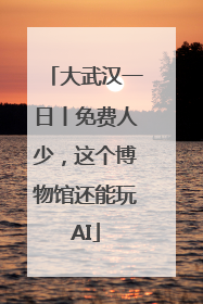 大武汉一日丨免费人少，这个博物馆还能玩AI