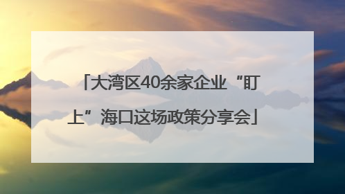 大湾区40余家企业“盯上”海口这场政策分享会
