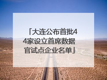 大连公布首批44家设立首席数据官试点企业名单
