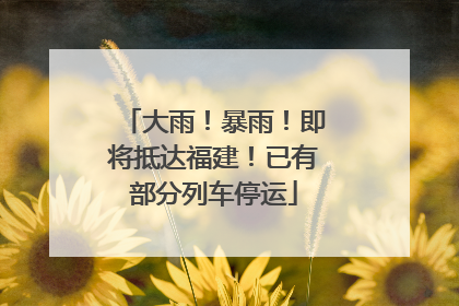 大雨！暴雨！即将抵达福建！已有部分列车停运