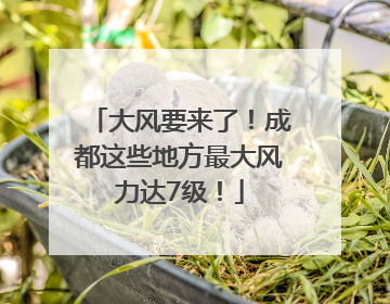 大风要来了！成都这些地方最大风力达7级！