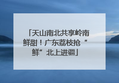 天山南北共享岭南鲜甜！广东荔枝抢“鲜”北上进疆
