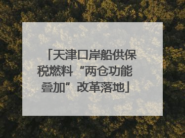 天津口岸船供保税燃料“两仓功能叠加”改革落地