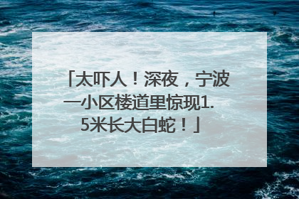 太吓人！深夜，宁波一小区楼道里惊现1.5米长大白蛇！