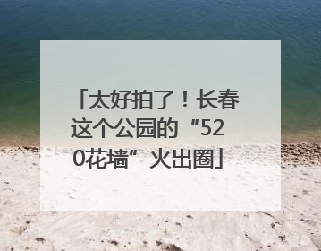 太好拍了！长春这个公园的“520花墙”火出圈