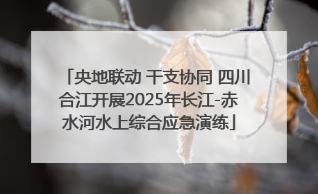 央地联动 干支协同 四川合江开展2025年长江-赤水河水上综合应急演练