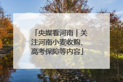 央媒看河南｜关注河南小麦收购、高考保障等内容