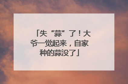 失“蒜”了！大爷一觉起来，自家种的蒜没了