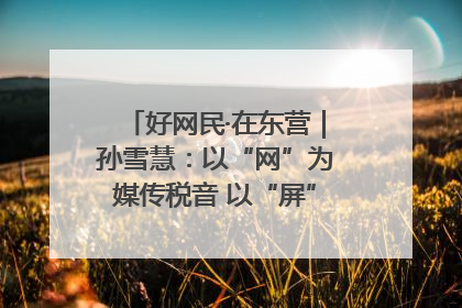 好网民·在东营｜孙雪慧：以“网”为媒传税音 以“屏”为介助发展